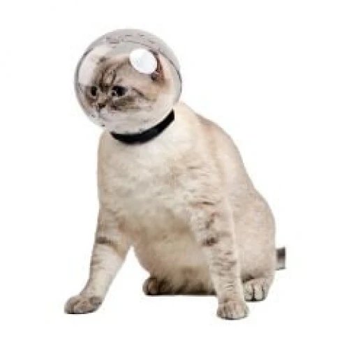 Lavimo Kedi Bakım Küresi ürün görseli 1