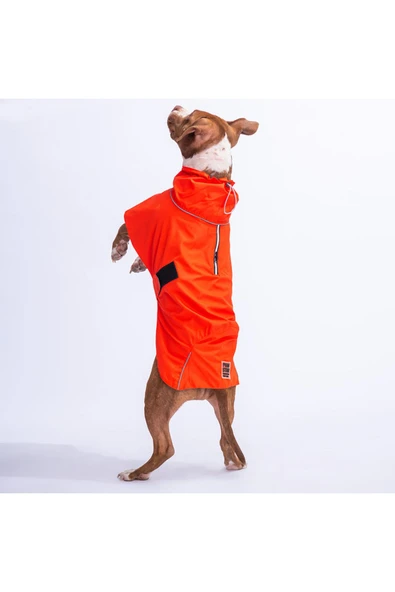 Pawstar Turuncu Colombia Orta Ve Büyük Irk Köpek Yağmurluğu Köpek Kıyafeti Köpek Elbisesi ürün görseli 1