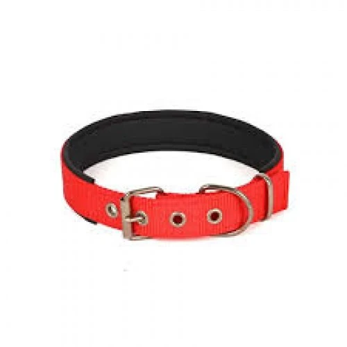 Yumuşak Dokulu Köpek Boyun Tasması Orta Boy 3X52Cm ürün görseli 1