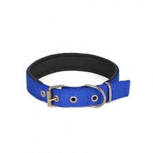 Yumuşak Dokulu Köpek Boyun Tasması Küçük Boy 2,5X55Cm ürün görseli 1