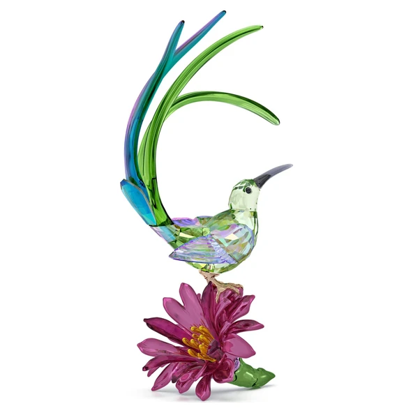 5675166 Swarovski Biblo Idyllıa:Sugarbırd And Cactus Flower ürün görseli 1