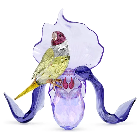 5675211 Swarovski Biblo Idyllıa:Gouldıan Fınch And Orchıd ürün görseli 1