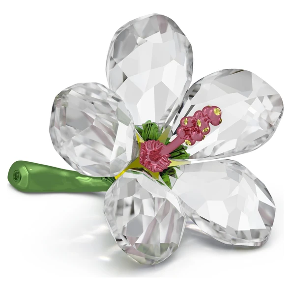 5690534 Swarovski Biblo Florere:Hıbıscus S ürün görseli 1
