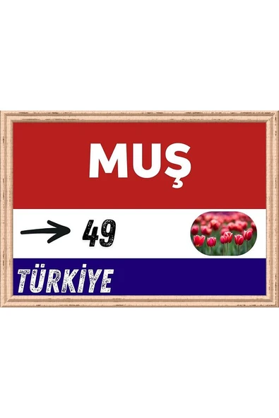 Muş Tablo - Retro Tablo ürün görseli 1