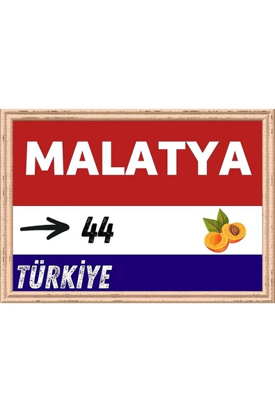 Malatya Tablo - Retro Tablo ürün görseli 1