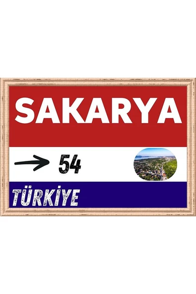 Sakarya Tablo - Retro Tablo ürün görseli 1