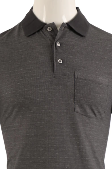 T-Shirt Regular Fit Erkek - Resim 8