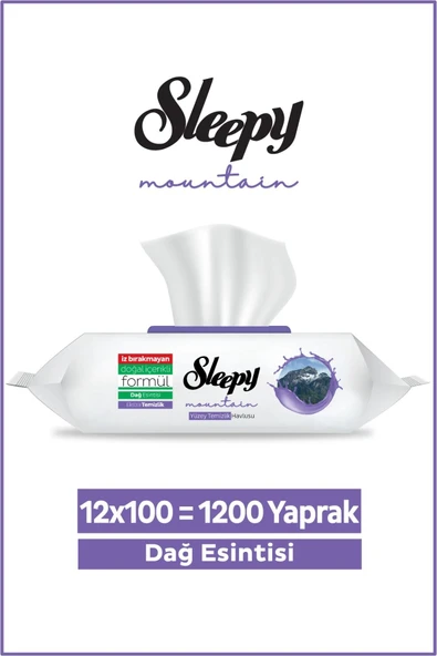 Sleepy Mountain Dağ Esintisi 12x100 (1200 Yaprak) Yüzey Temizlik Havlusu ürün görseli 1