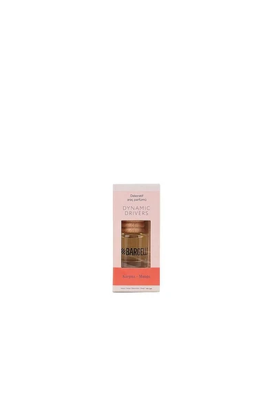 Karpuz-mango Araç Parfümü 8 Ml Dynamik Place - Resim 2