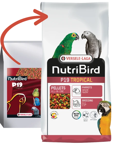 Versele Laga Nutrıbırd P19 Tropıcal Papağan Pelet Yem 10kg ürün görseli 1