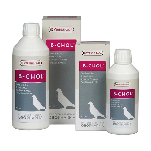 Versele Laga Oropharma B-chol Güvercin (karaciğer Sağlığı Koruyucu) 500ml ürün görseli 1
