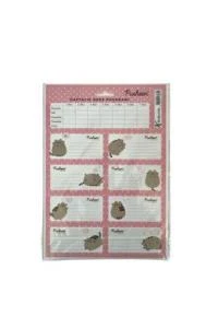 Pusheen Ders Programlı Etiket 3 Lü 220130-10 ürün görseli 1