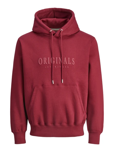 JACK JONES Original Yazılı Erkek Kapüşonlu Sweatshirt 12270541 ürün görseli 1