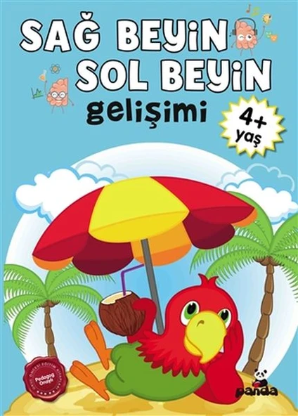Sağ Beyin-Sol Beyin Gelişimi 4+ Yaş ürün görseli 1