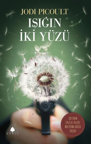 Işığın İki Yüzü - Resim 3