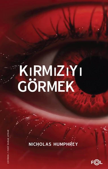 Kırmızıyı Görmek - Resim 3