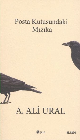 Posta Kutusundaki Mızıka ürün görseli 1