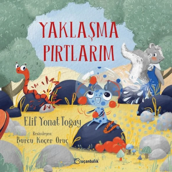 Yaklaşma Pırtlarım - Resim 3
