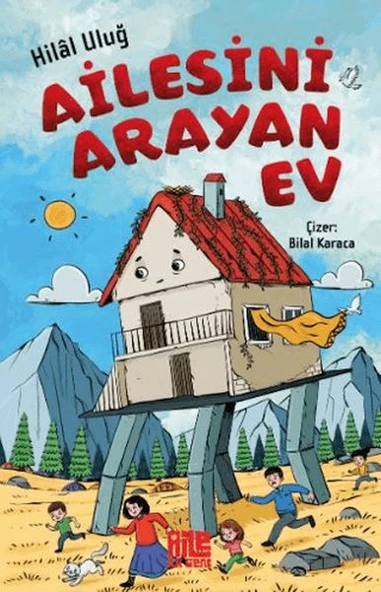 Ailesini Arayan Ev ürün görseli 1