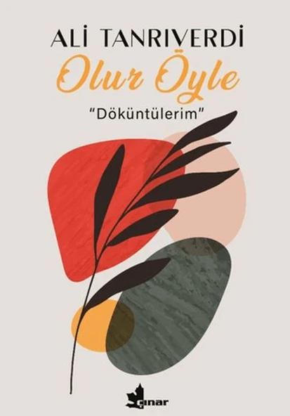 Olur Öyle - Resim 2