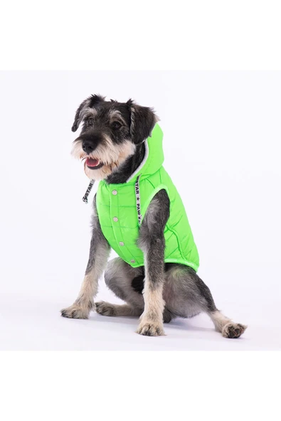Pawstar Neon Yeşil Railway Anorak Yelek Köpek Yeleği Köpek Kıyafeti Köpek Yağmurluk ürün görseli 1