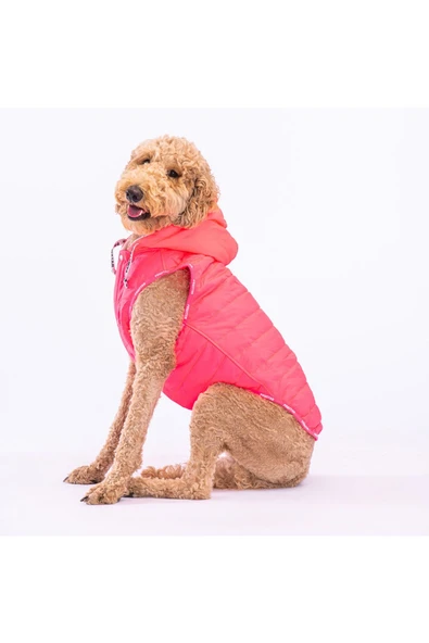 Pawstar Neon Fuşya Railway Orta ve Büyük Irklar İçin Anorak Köpek Yeleği Köpek Kıyafeti Köpek Yağmurluk ürün görseli 1