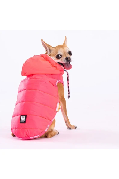 Pawstar Neon Fuşya Railway Anorak Yelek Köpek Yeleği Köpek Kıyafeti Köpek Yağmurluk ürün görseli 1