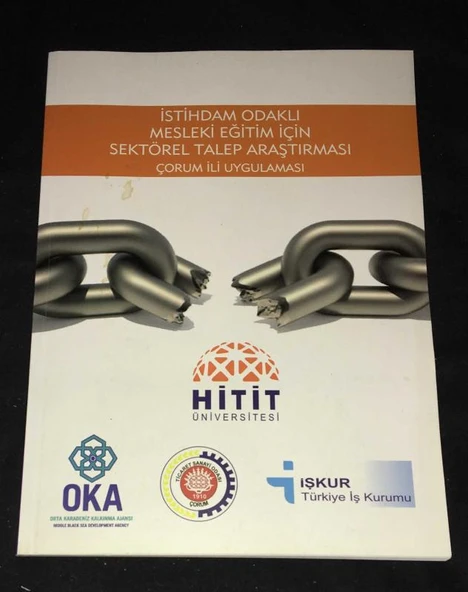 İSTİHDAM ODAKLI MESLEKİ EĞİTİM İÇİN SEKTÖREL TALEP ARAŞTIRMASI Çorum İli Uygulaması (Sahafiye Kitap) ürün görseli 1