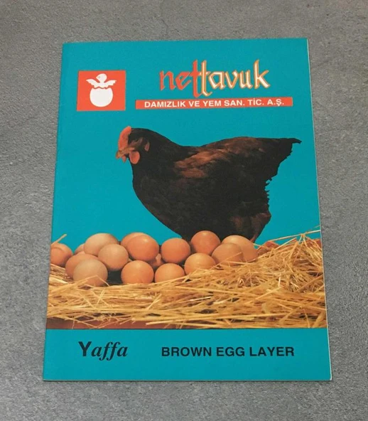 YAFFA BROWN EGG LAYER (Sahafiye Kitap) ürün görseli 1