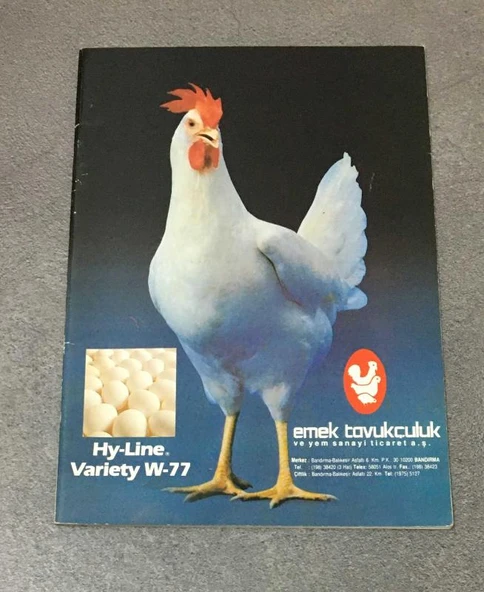 Hy - Line Variety W - 77 YÖNETİM REHBERİ (Sahafiye Kitap) ürün görseli 1