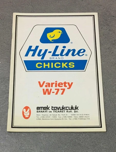 Hy - Line Variety W - 77 YÖNETİM REHBERİ (Sahafiye Kitap) ürün görseli 1