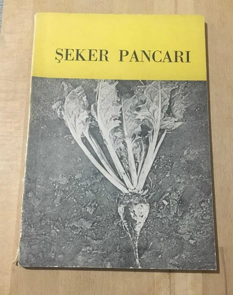 ŞEKER PANCARI (Sahafiye Kitap) ürün görseli 1