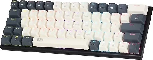 Gameagle Neopulse MK-63X1ABB Mekanik Işıklı Blue Switch Oyuncu Klavye ürün görseli 1