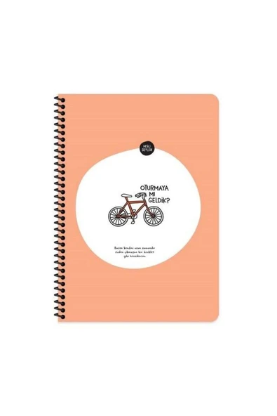 Hisli Şeyler Keskin A4 Çizgili Spiralli Stickerli Defter Oturmaya Mı Geldik? 80yp ürün görseli 1