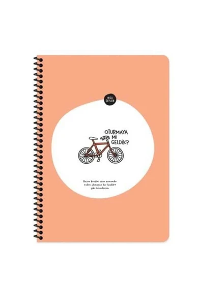 Hisli Şeyler 16,5*22,5 80yp.kar.stickerli Defter - Oturmaya Mı Geldik? ürün görseli 1