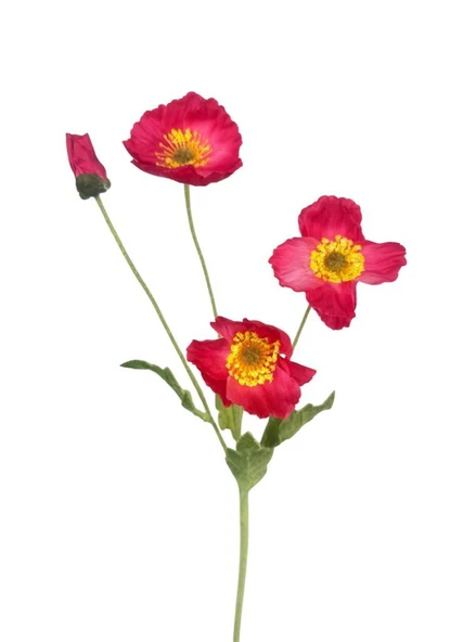 Yapay Çiçek Gelincik Çiçeği Pembe Koyu Renk 3 Çiçek 1 Tomurcuk 59Cm ürün görseli 1