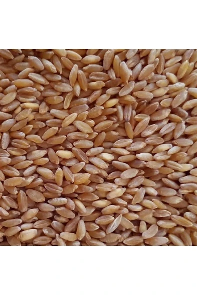EKBERA - 25 Kg Yemlik Buğday Tane Buğday Güvercin Yemi Kuş Yemi Tavuk Yemi ürün görseli 1