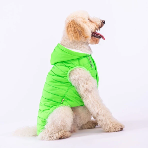 Pawstar Railway Neon Green Su İtici Orta-Büyük Irk Köpek Yelek Yağmurluk ürün görseli 1