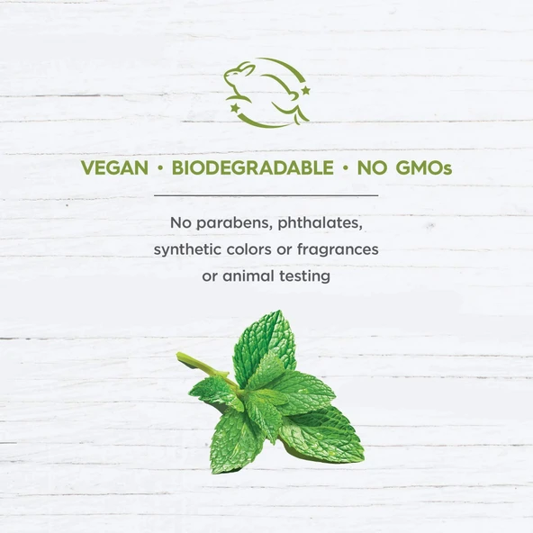 Avalon Organics C Vitaminli Krem 48 gr - Resim 3