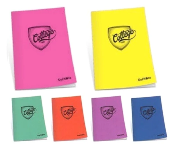 Çınar College 60 Yaprak Çizgili A4 Defter Pp Kapak - 2 adet ürün görseli 1