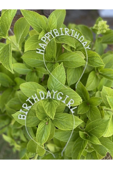 MSDA Bırthday Gırl Doğum Günü Tacı ürün görseli 1
