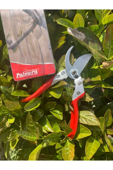 Palmera PA-PS20 BUDAMA MAKASI - Resim 2