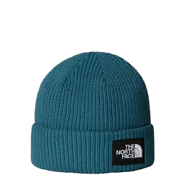 The North Face SALTY LINED BEANIE Unisex Bere NF0A8CGZBQ51 ürün görseli 1