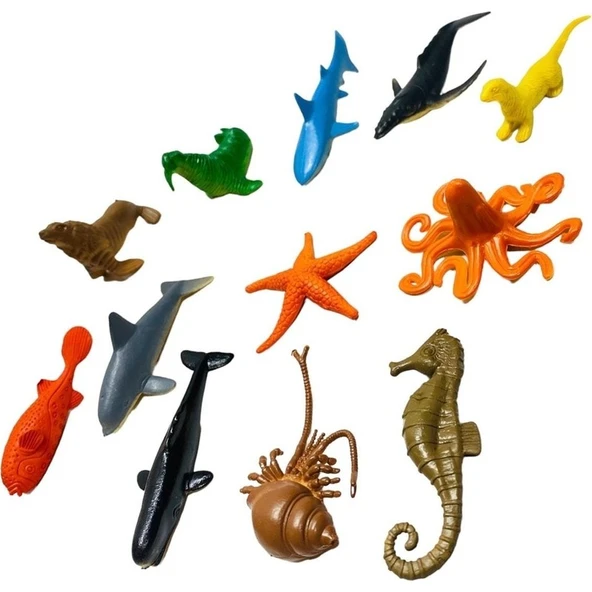 Toysandmore Deniz Hayvanları Deniz Atı ve Yıldızı Salyangoz Yunus Köpek Balığı 12 Parça ürün görseli 1