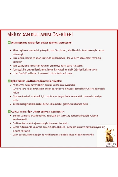 925 Gümüş | 4 İsimli Kolye - Resim 3