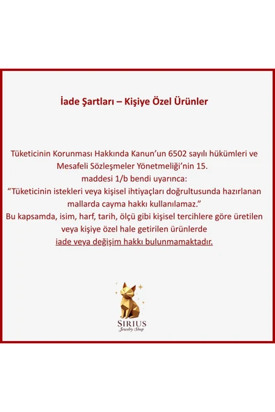 925 Ayar Gümüş Kalpli Y Kolye - Resim 5