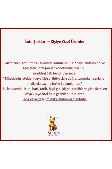 925 Ayar Gümüş Harf Charmlı Kolye - Resim 2