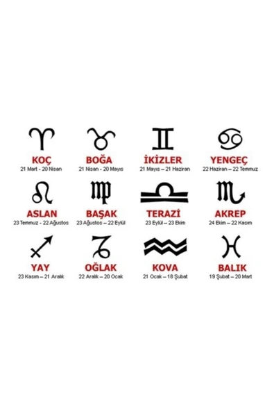 925 Ayar Gümüş Burç ( Zodiac ) Kolye - Resim 2