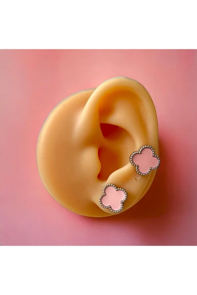 316L Çelik Cleef Model Pembe Küpe ürün görseli 1