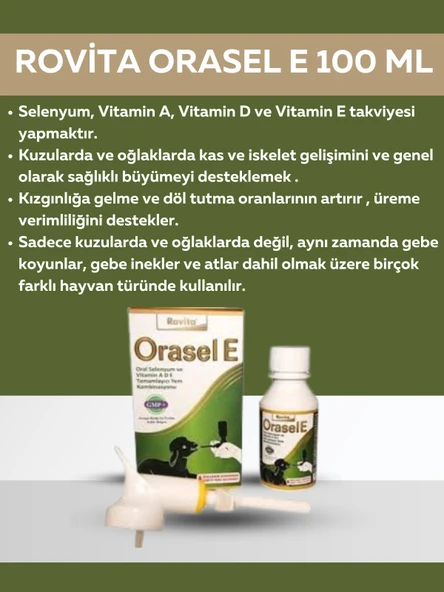 Royal Rovita Orasel E 100ml ürün görseli 1